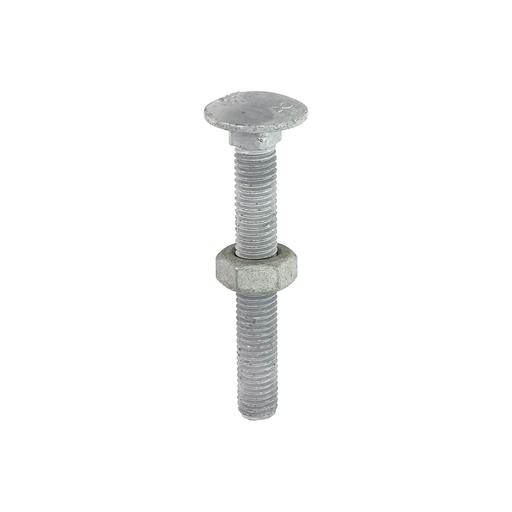 TIMCO Carriage Bolts & Hex Nuts - Hot Dipped Galvanised (M10 x 75, Box of 50)