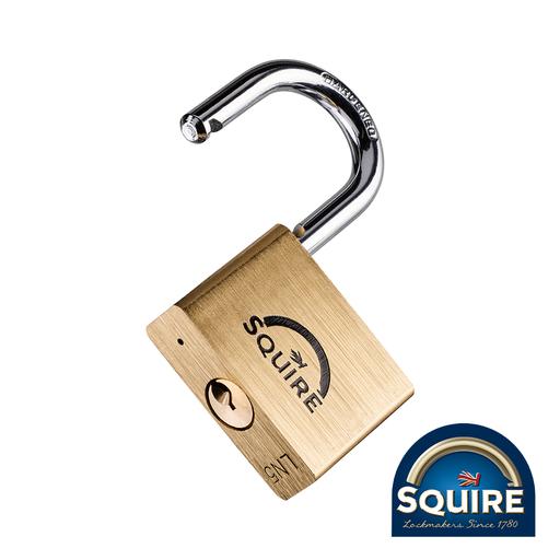 TIMCO Premium Brass Lion Padlock - Ln5 (50mm, Blister Pack of 1)