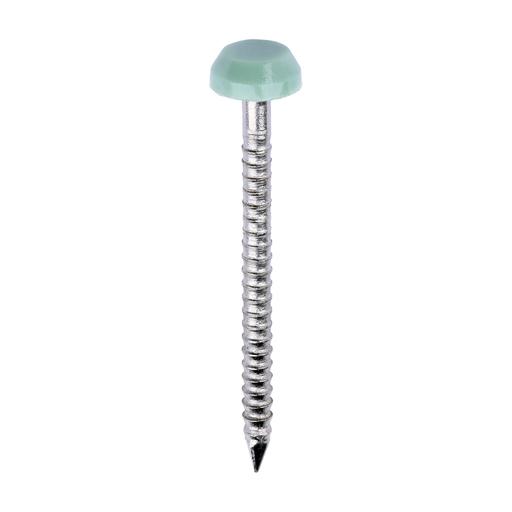 TIMCO Polymer Headed Pins - A4 Stainless Steel - Chartwell Green (30mm, Box of 250)