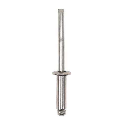 TIMCO Rivets - Dome Head - Stainless Steel (3.2 x 6, TIMpac of 102)