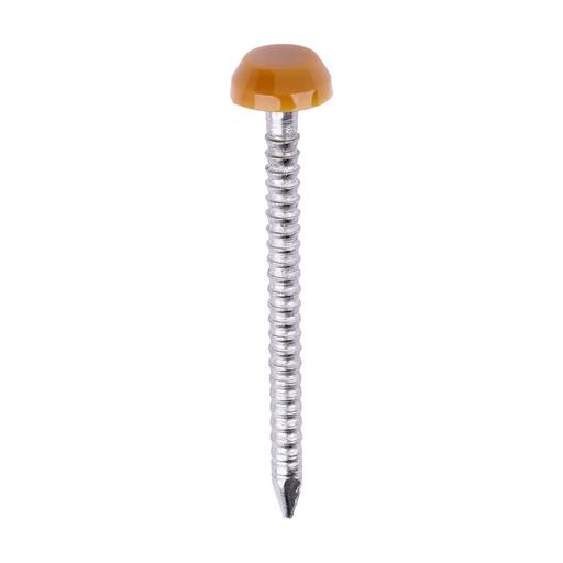 TIMCO Polymer Headed Pins - A4 Stainless Steel - Oak (30mm, Box of 250)