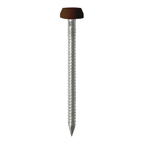 TIMCO Polymer Headed Pins - A4 Stainless Steel - Mahogany (25mm, Box of 250)