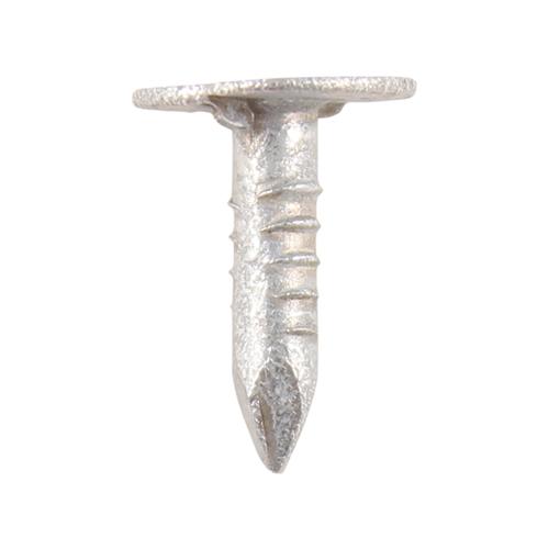 TIMCO Extra Large Head Clout Nails - Galvanised (40 x 3.00, TIMbag of 2.5)