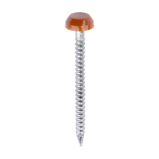 TIMCO Polymer Headed Pins - A4 Stainless Steel - Clay Brown (30mm, Box of 250)