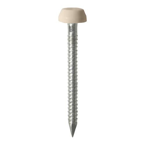 TIMCO Polymer Headed Pins - A4 Stainless Steel - Beige (25mm, Box of 250)
