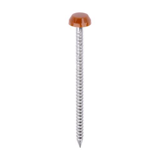 TIMCO Polymer Headed Pins - A4 Stainless Steel - Clay Brown (40mm, Box of 250)
