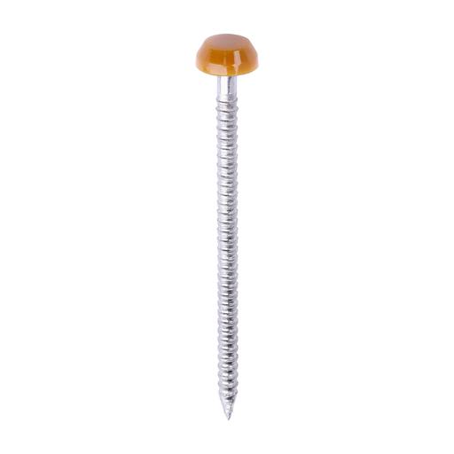 TIMCO Polymer Headed Pins - A4 Stainless Steel - Oak (40mm, Box of 250)