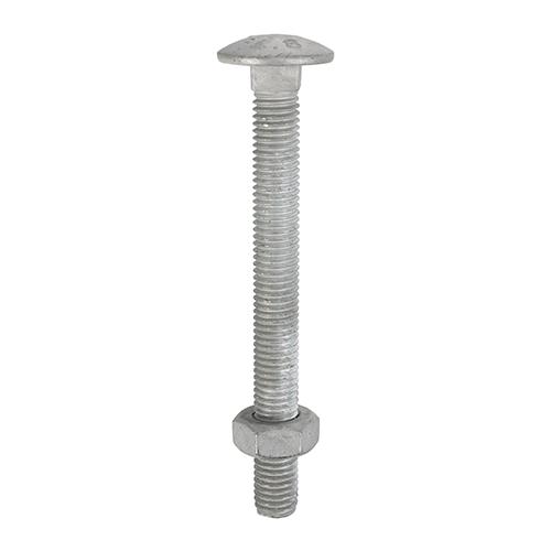 TIMCO Carriage Bolts & Hex Nuts - Hot Dipped Galvanised (M12 x 110, Box of 25)