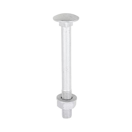 TIMCO Carriage Bolts Hex Nuts & Form A Washers - Dome - Exterior - Silver (M10 x 100, TIMbag of 10)