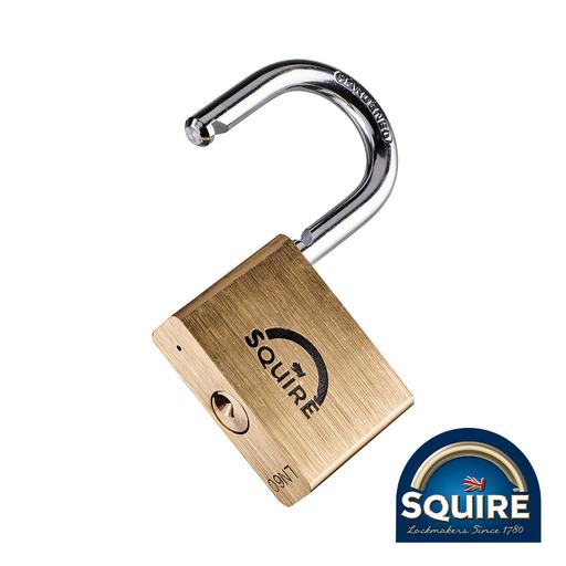 TIMCO Premium Brass Lion Padlock - Ln60 (60mm, Blister Pack of 1)